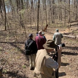 group of photographers capturing pictures of nature in wooded area
