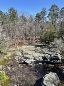 07A3B371-FA60-435F-8BBA-F1B1043CD693