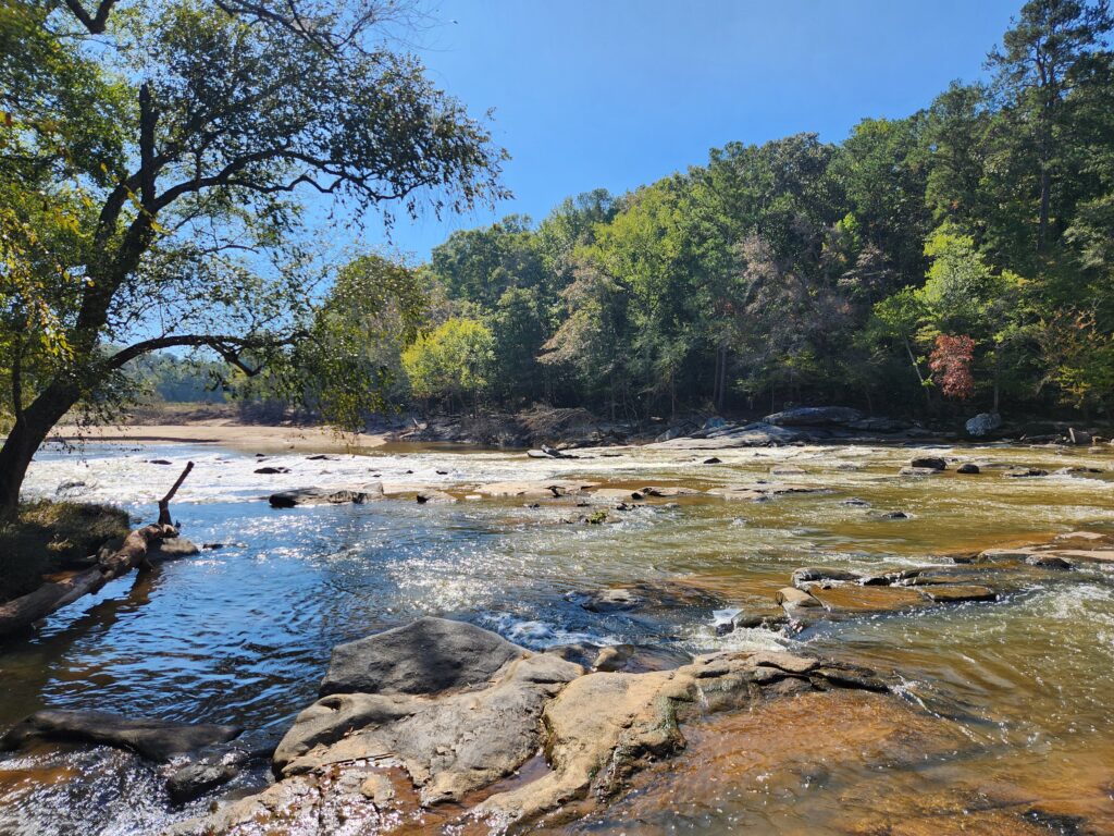 Photo of a rocky shoals area of a river flowing through a forested area.
