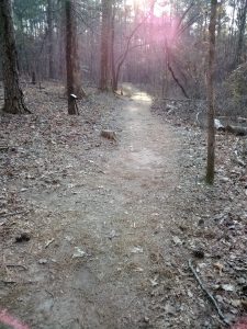 275268671_5177475012270803_6384591345509536293_n