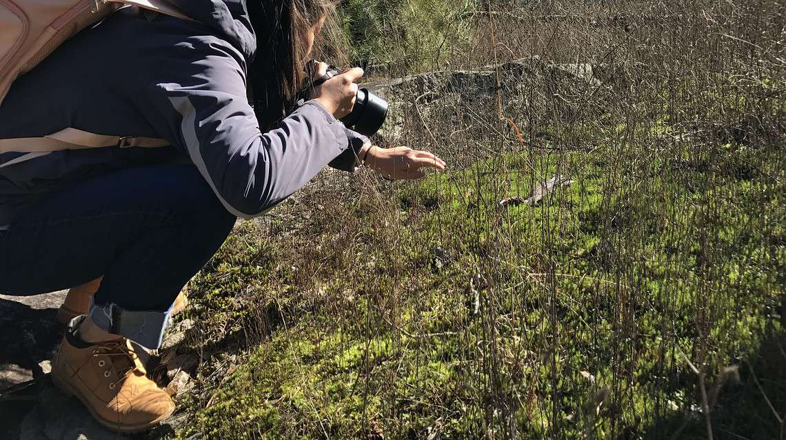 Photography Permits in the Arabia Mountain National Heritage Area