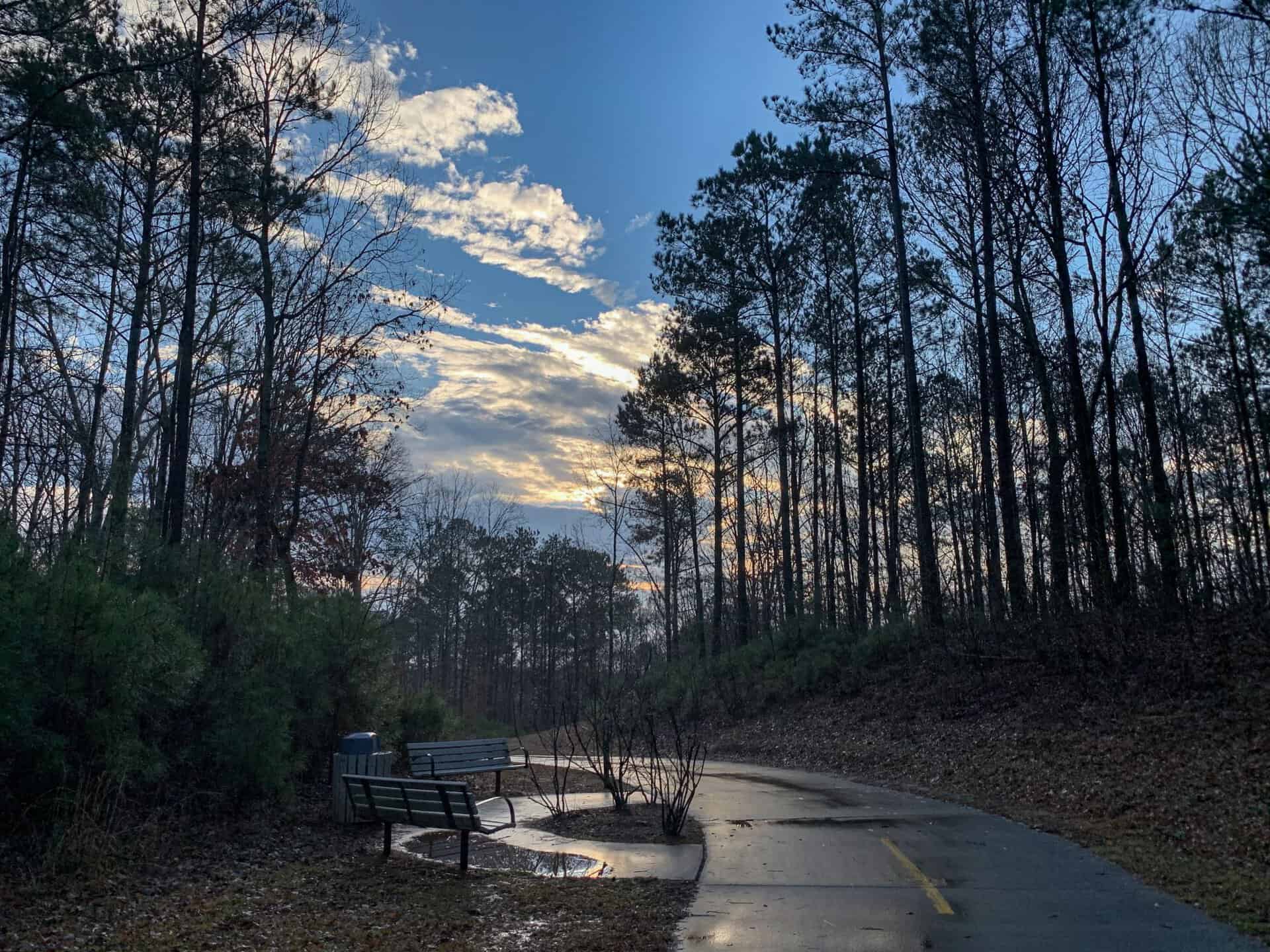 Arabia mountain bike clearance trail