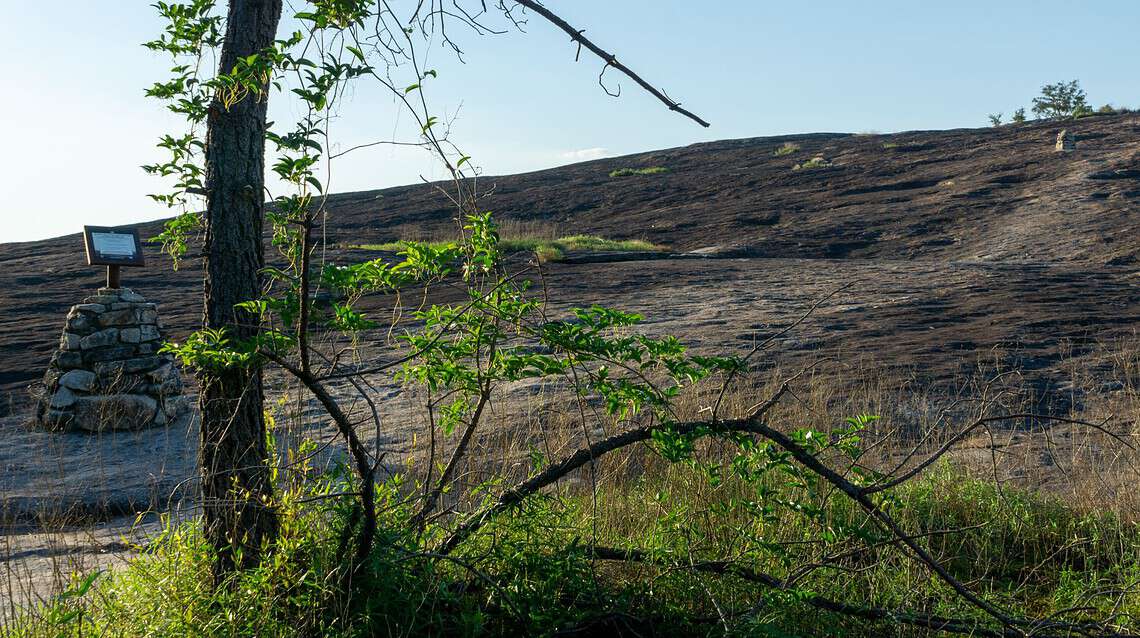 Preserve the Park with Ashley Rivers Photography