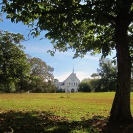 Chestnut Grove at the Monetary of the Holy Sprit