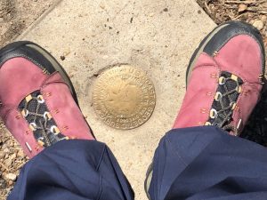 EFE154AE-27E3-459B-9313-A1B01CB0D665