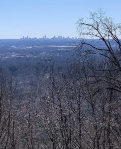 FA0E8701-5733-4E3B-9764-AB3258DE6354