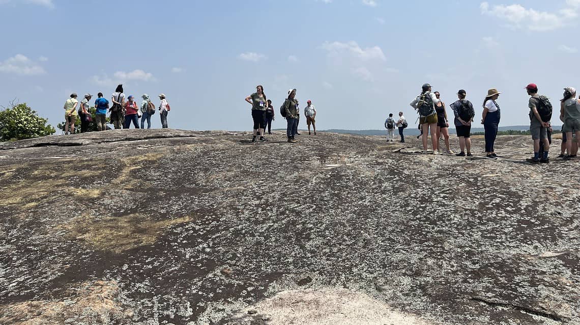 Summer Fun: Davidson-Arabia Mountain Comes Alive With Activity