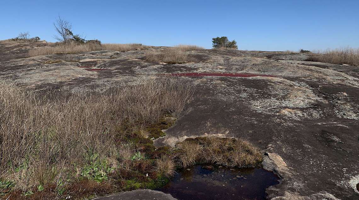 Parking at Arabia Mountain