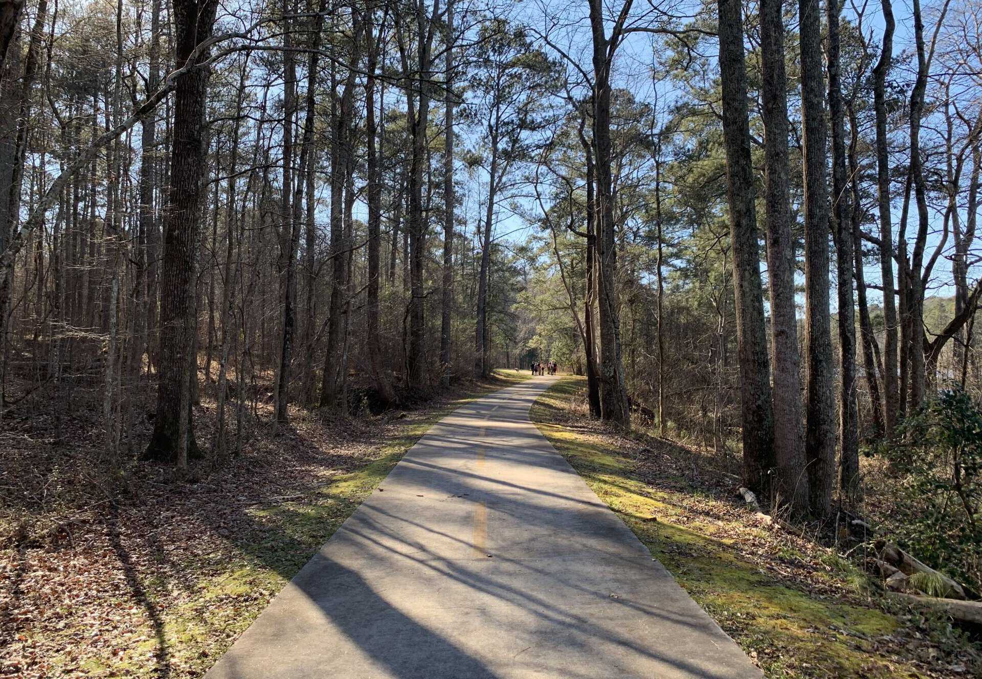 Arabia mountain shop bike trail