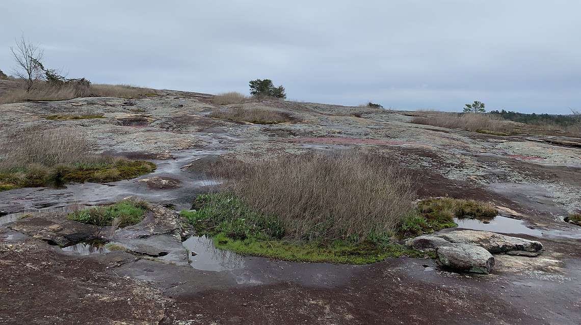 Insider Tips for the Best Hiking at Arabia Mountain