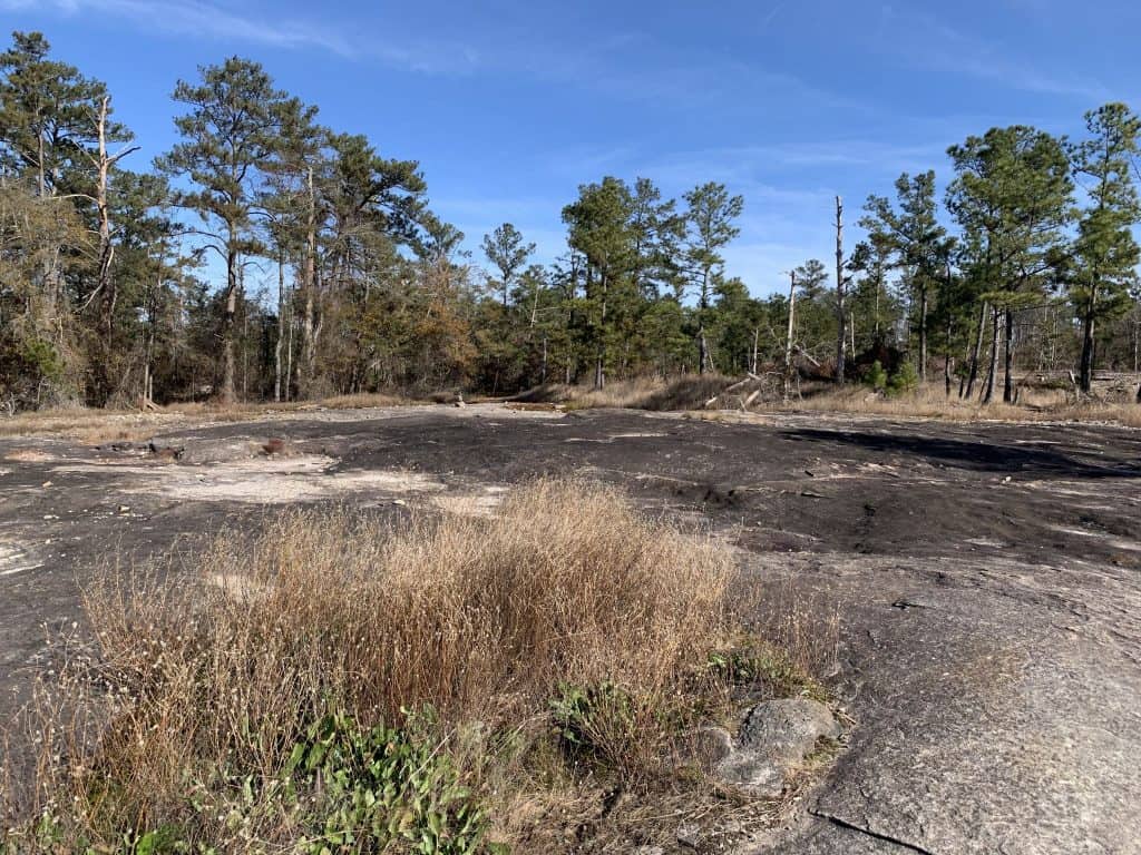 Why is it Called Arabia Mountain?