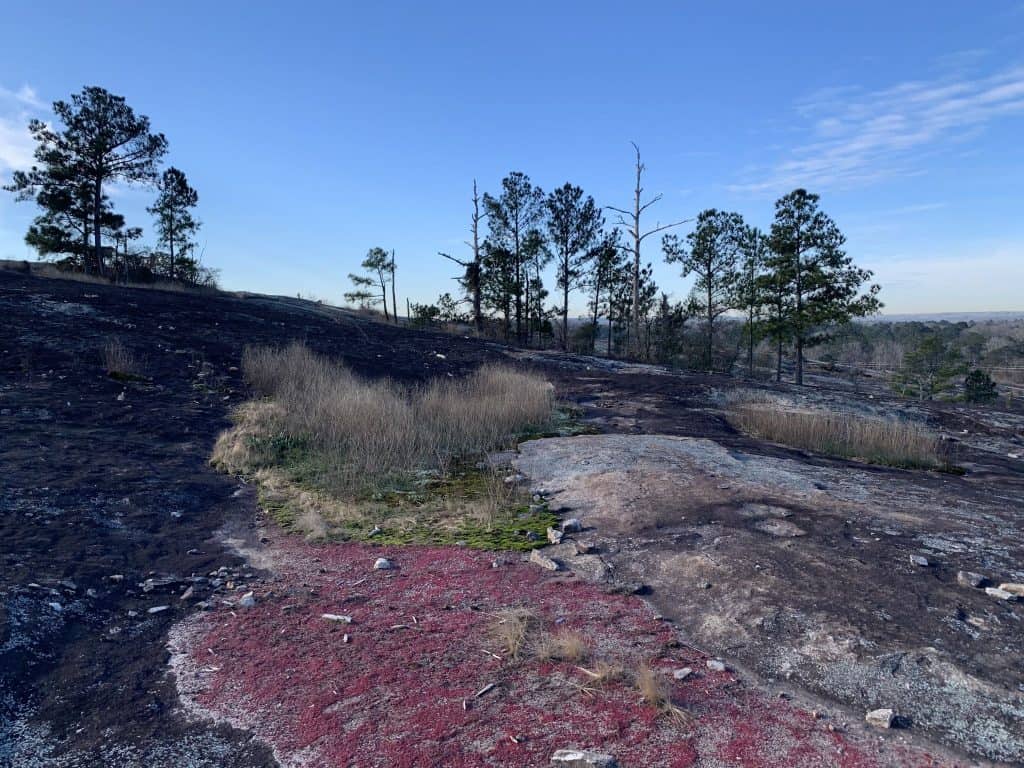 Parking at Arabia Mountain