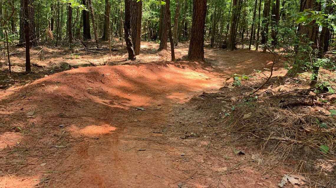 New Mountain Bike Trails in the AMNHA