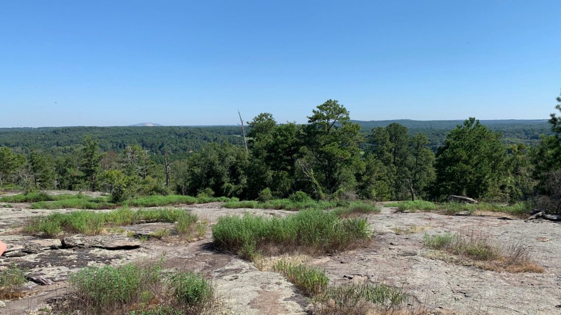 Barren Rock? Not So Much