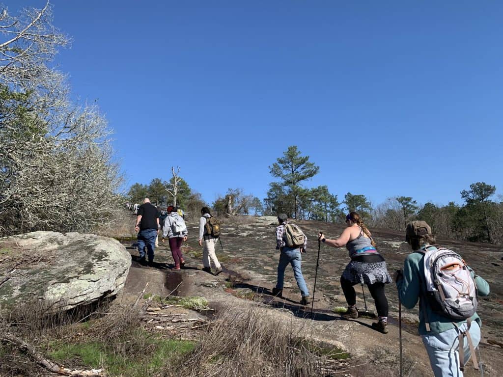 Winter Hikes and Winter Wildlife