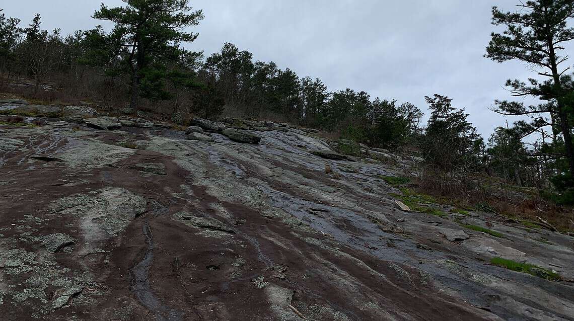 Natural History of Stone Mountain