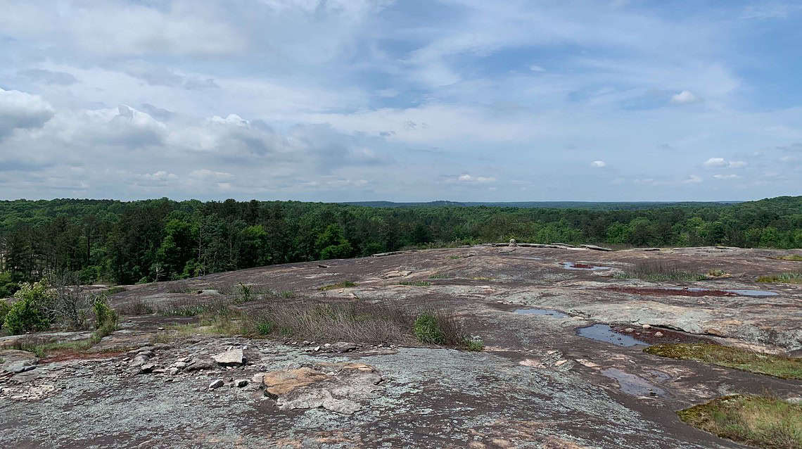 Hidden Life at Arabia Mountain