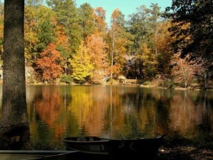 Lakeside view at Panola