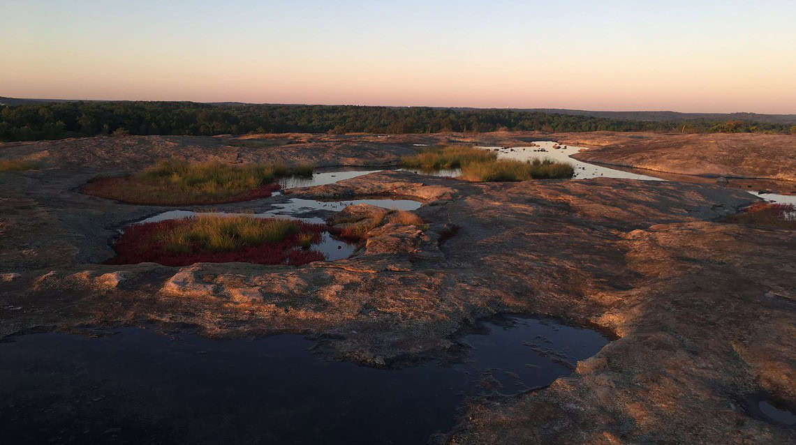 Guided Hikes are Back at Arabia Mountain