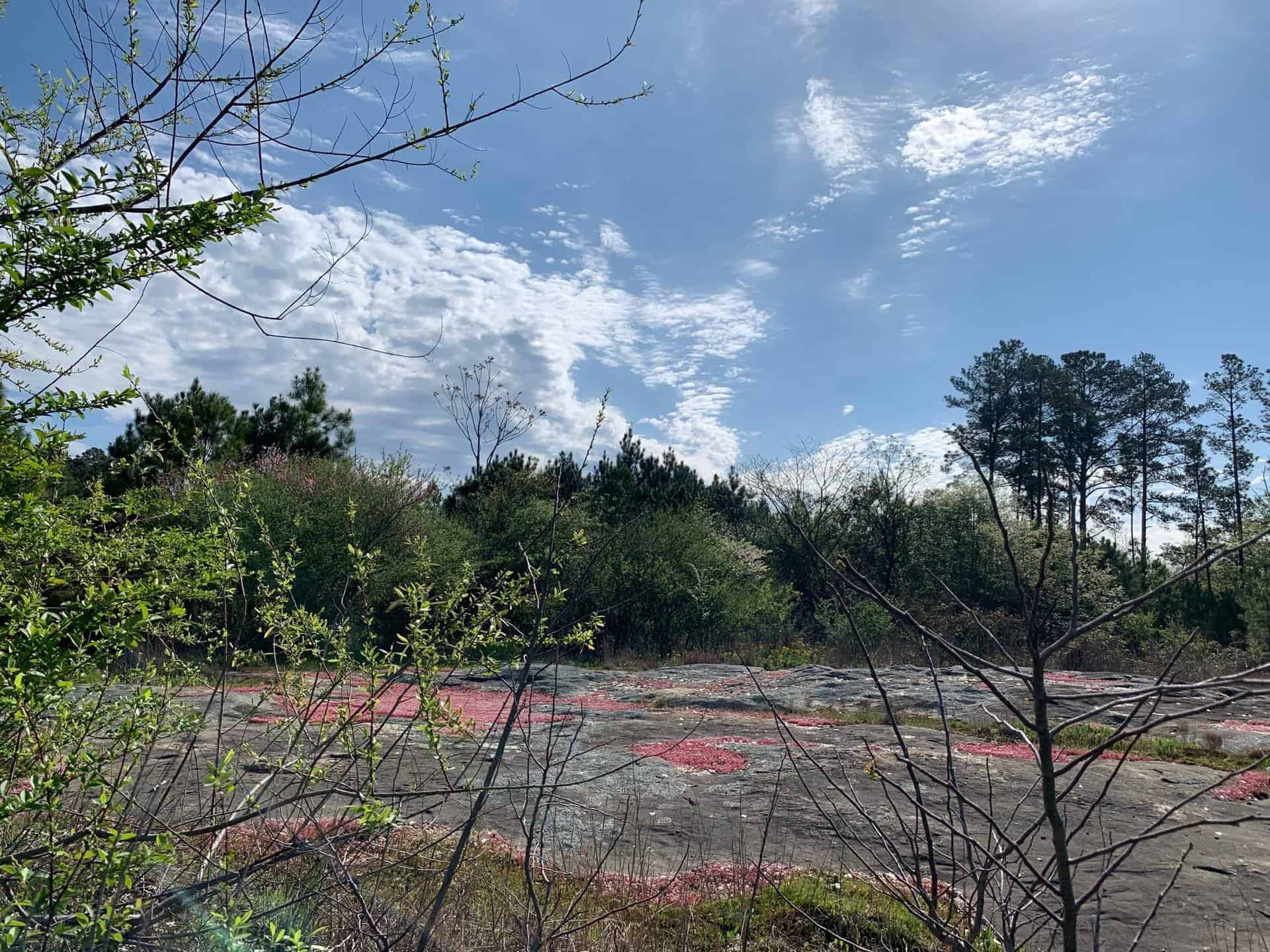 Arabia Mountain