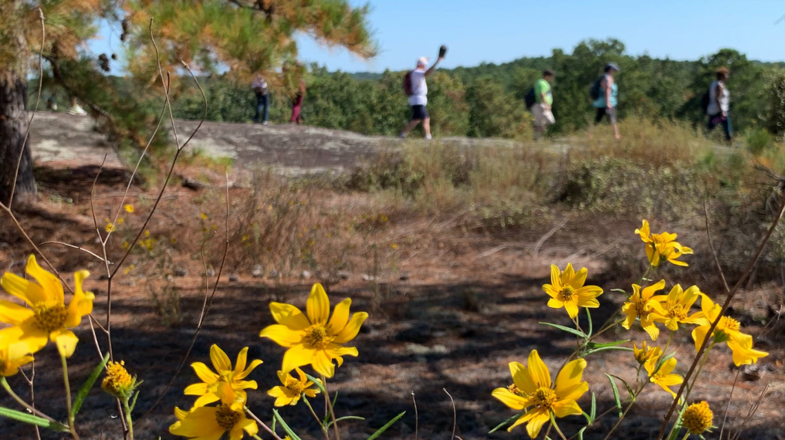 Daisy Days is Almost Here!