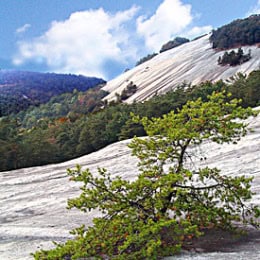 stone-mt-state-park-photo